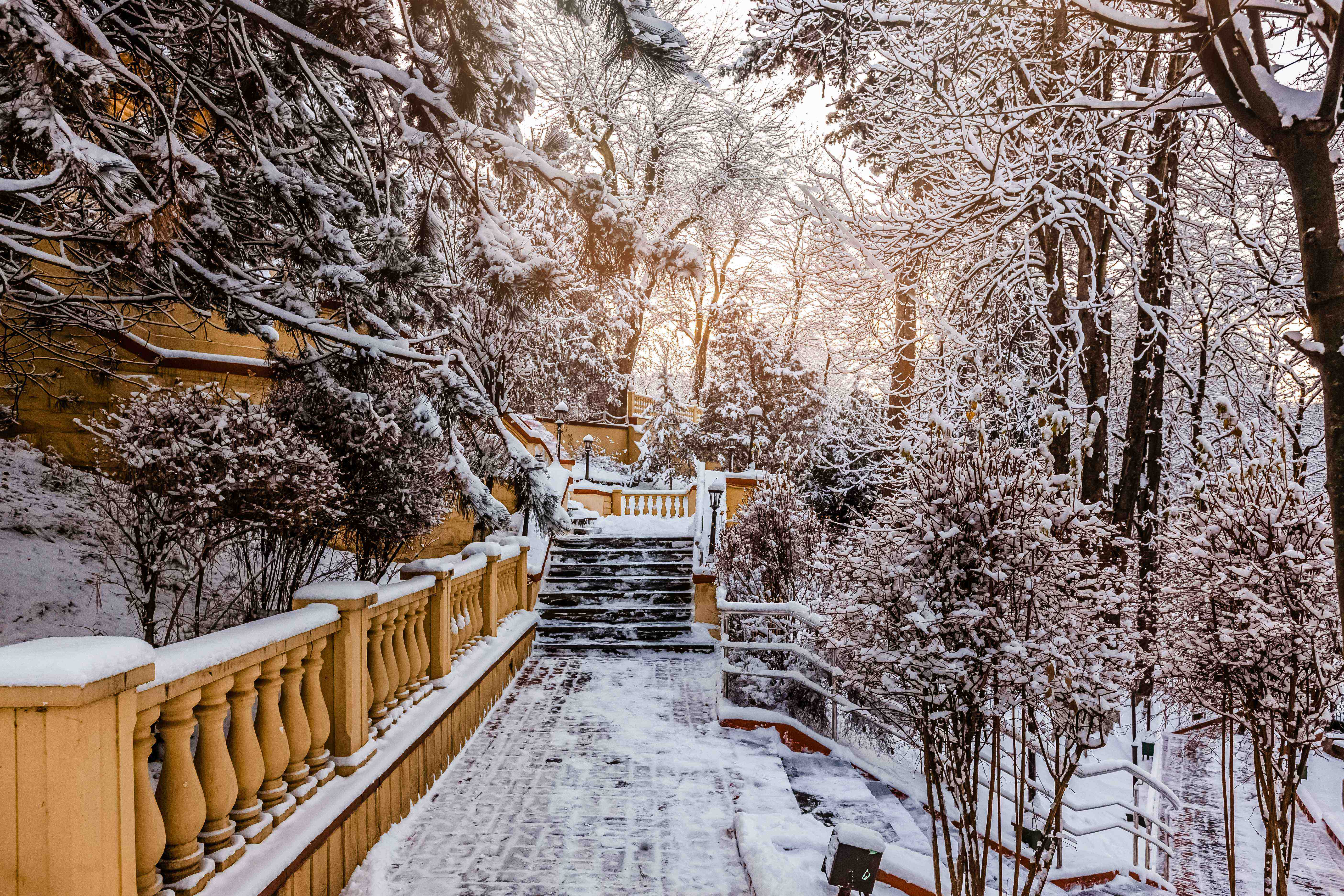 Территория Зимаааа 2025